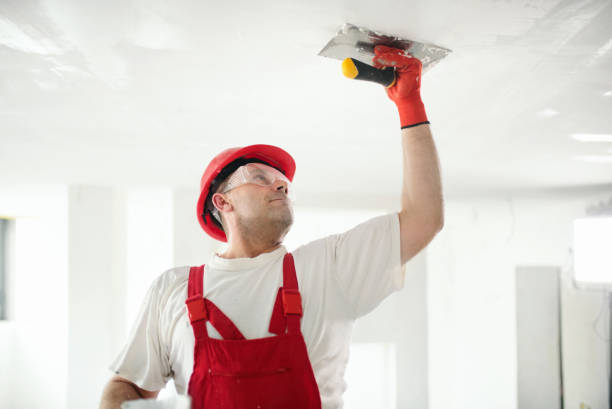 Best Comprehensive Air Testing for Mold Contaminants  in Greenbriar, FL