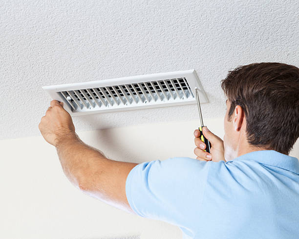 Trusted Greenbriar, FL Mold Removal Experts