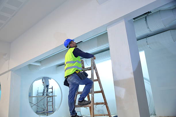 Best Mold Odor Removal Services  in Greenbriar, FL